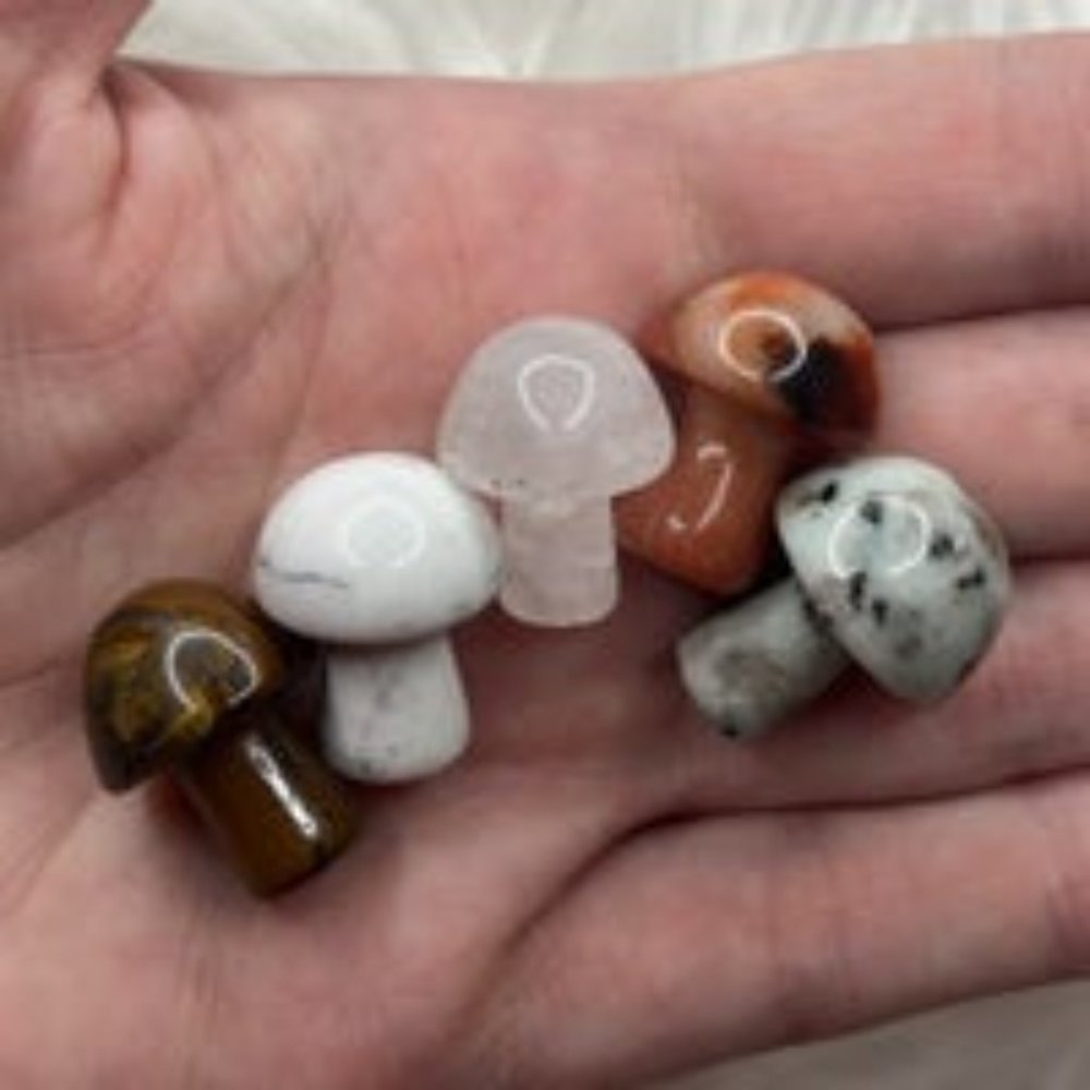Crystal Magic Mushroom Set - Picture 3 of 13